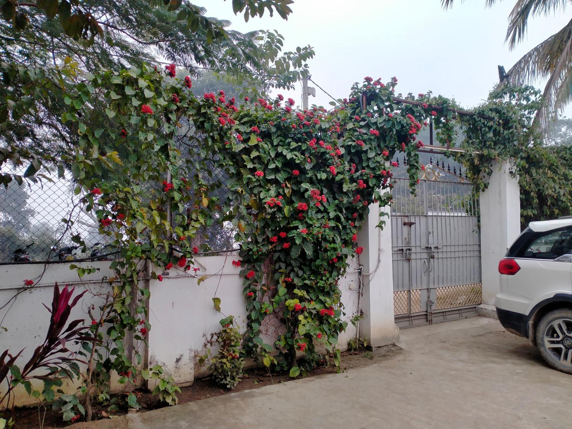 Vedic Villa Váránaszi Kültér fotó
